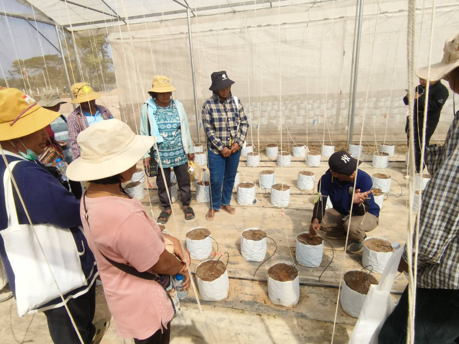 title - วันที่ 23 มกราคม 2569 นายประเสริฐ กาญจนเกียรติกุล ปฏิรูปที่ดินจังหวัดบุรีรัมย์ มอบหมายให้นายธงชัย ใจกล้า เจ้าหน้าที่ปฏิรูปที่ดิน นำเกษตรกรภายใต้โครงการพัฒนาเกษตรกรรมยั่งยืนในเขตปฏิรูปที่ดินจำนวน 11 ราย เข้าศึกษาดูงานสถานีวิจัยการเกษตรและพัฒนาโครงการหลวงโนนดินแดง